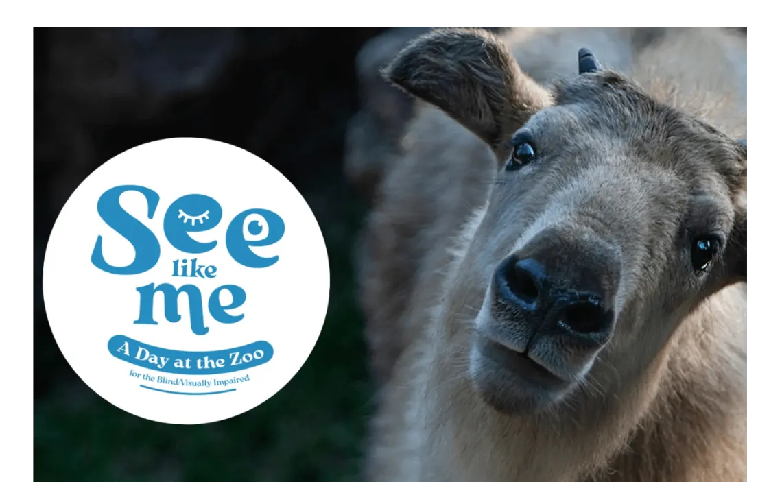 The Sight Collective