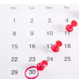 The Sight Collective